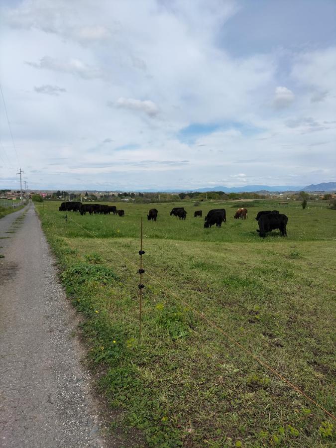 Rod Ranch Livestock - Appartamento Con Camino E Vista Piscina Campagnano Di Roma Eksteriør bilde