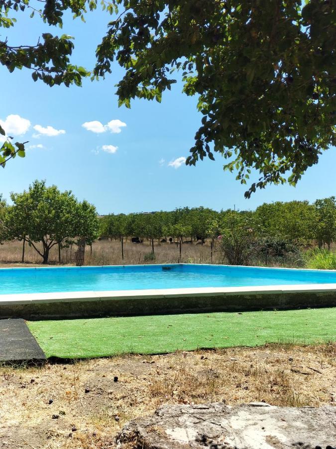 Rod Ranch Livestock - Appartamento Con Camino E Vista Piscina Campagnano Di Roma Eksteriør bilde